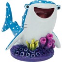Buscando a Dory - Destiny con Coral, Mediano