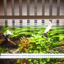 Aquatlantis EasyLED Universal RGBW Ultra - 1150