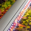 Aquatlantis EasyLED Universal RGBW Ultra - 1150