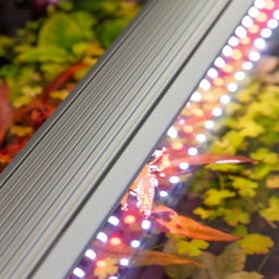 Aquatlantis EasyLED Universal RGBW Ultra - 1150