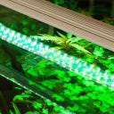 Aquatlantis EasyLED Universal RGBW Ultra - 1150