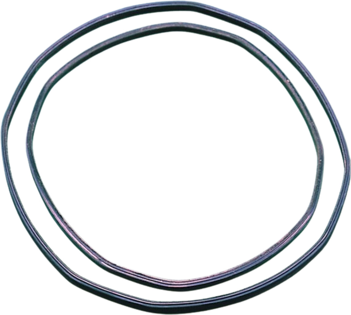 JBL Joint CP pour Tête de Pompe - CP120/250