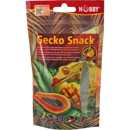 Cute Gecko Eating A Little Snack! : Aww