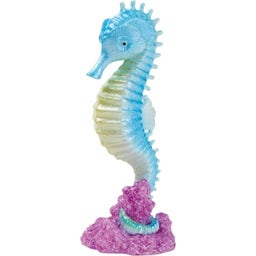 Eden Seahorse