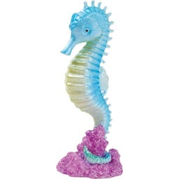 Eden Seahorse