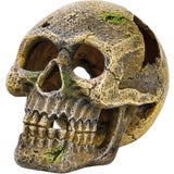 Eden Totenkopf