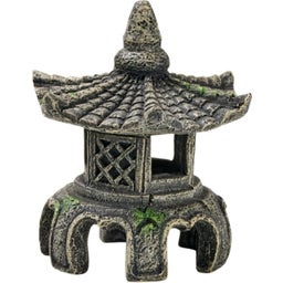 Eden Asien Tempel W