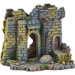 Eden Ruines du Petit Château