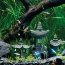 Eden Asien Tempel T