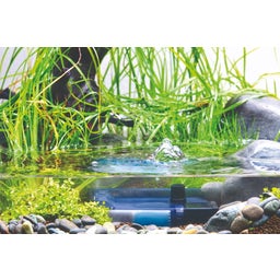 Eden Internal Filter FIN - 50