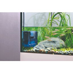 Eden Internal Filter FIN - 50