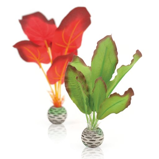 biOrb Silk Plant Set S grönt & rött - 1 set