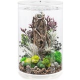 biOrb TUBE 30 MCR