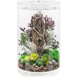 biOrb TUBE 30 MCR - Wit