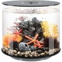 biOrb TUBE 35 MCR