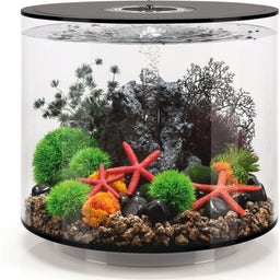 biOrb TUBE 35 MCR - Nero