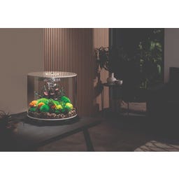 biOrb TUBE 35 LED - biela