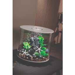 biOrb TUBE 35 LED - biela