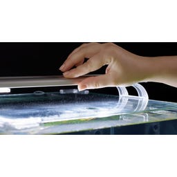 Aquatlantis UNIV LED PLUS - 286 mm (15 W)