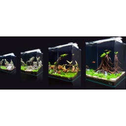 Aquatlantis UNIV LED PLUS - 376 mm (20 W)