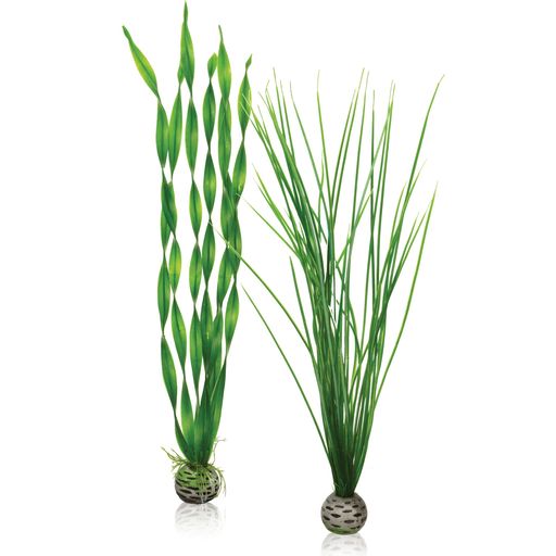 biOrb Plantenset L groen - 1 Set