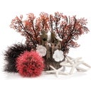 biOrb Decor Set 15L Red Forest - Red Forest