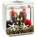 biOrb Decor Set 15L Red Forest - Red Forest