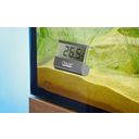 Oase Digital Thermometer - 1 Pc