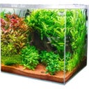 Dupla Scaping Cube - 10