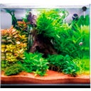 Dupla Scaping Cube - 10