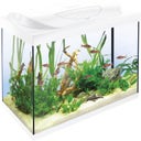 Tetra Starter Line 80 L Aquarium Komplett-Set - weiß