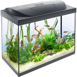 Tetra Starter Line 80 L Aquarium - Complete Set - Zwart