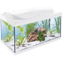 Tetra Starter Line 54 L Aquarium Weiß, Komplett-Set