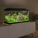 Tetra Starter Line 105 L Aquarium Schwarz, Komplett-Set
