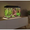 Tetra Starter Line 80 L Aquarium - Complete Set - Zwart
