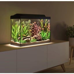 Tetra Starter Line 80 L Aquarium - Complete Set - Zwart