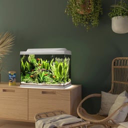 Tetra Starter Line 80 L Aquarium Komplett-Set - weiß