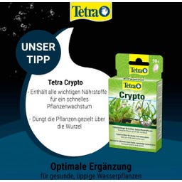 Tetra PlantaStart - 12 Tabletten