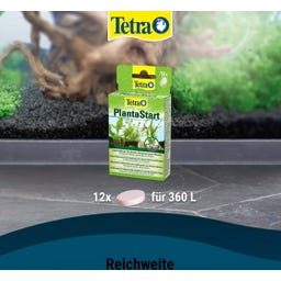 Tetra PlantaStart - 12 Tabletek