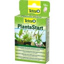 Tetra PlantaStart - 12 Tabletek
