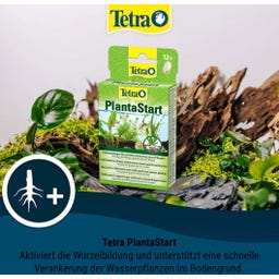 Tetra PlantaStart - 12 Tabletek