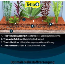 Tetra PlantaStart - 12 Tabletten
