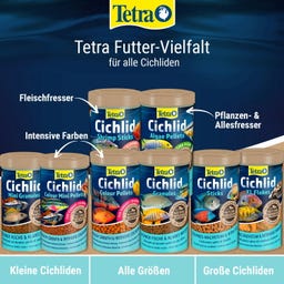 Tetra Cichlid Crisps