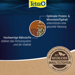 Tetra Crusta Menu