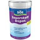 Söll Tablete s počasnim sproščanjem kisika - 30 kosi