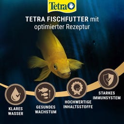 TetraPro Algae