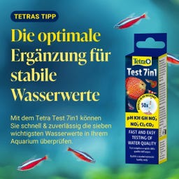 Tetra NitrateMinus Pearls