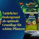 Tetra Active Substrat 6L - 6 l