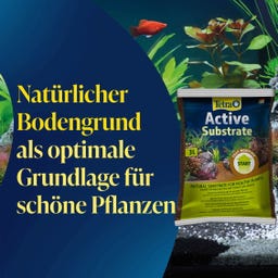 Tetra Active Substrat 6L - 6 l