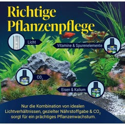 Tetra CO2 Optimat Ersatzflasche